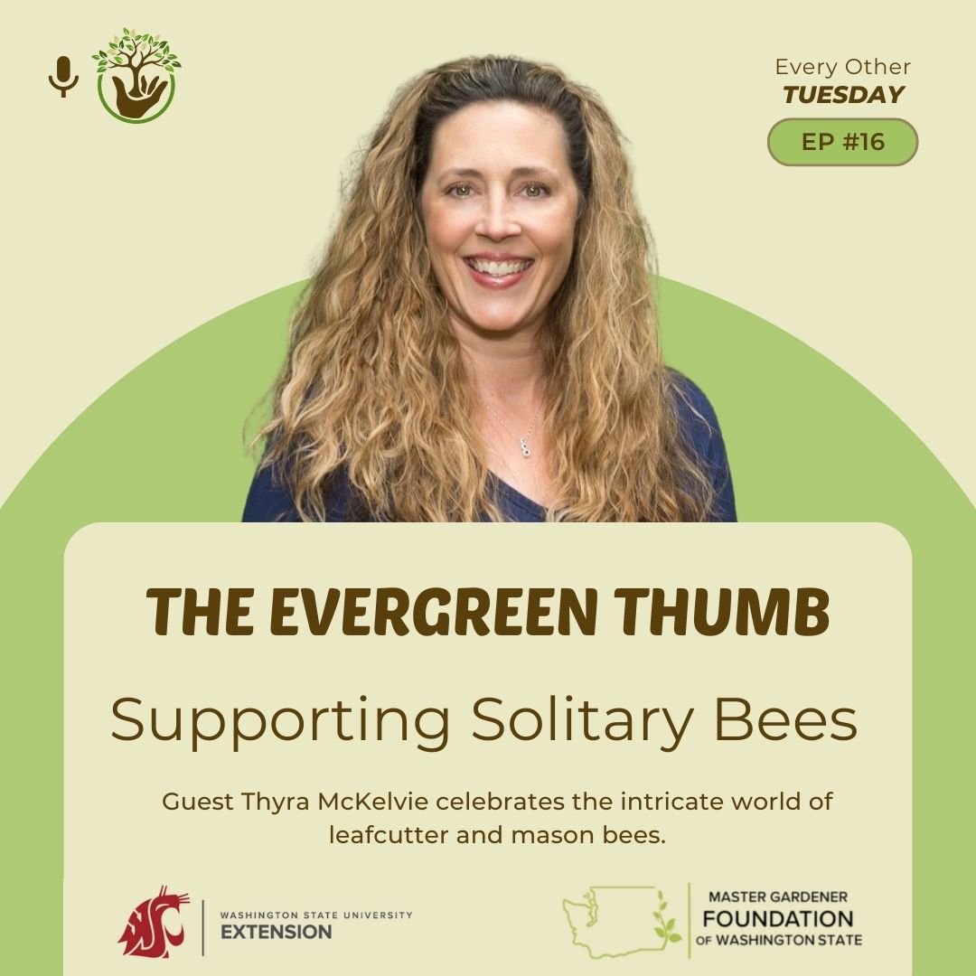 Protecting our Pollinators with Thyra McKelvie
