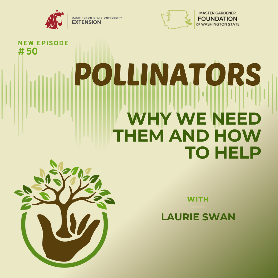 Pollinators episode 50