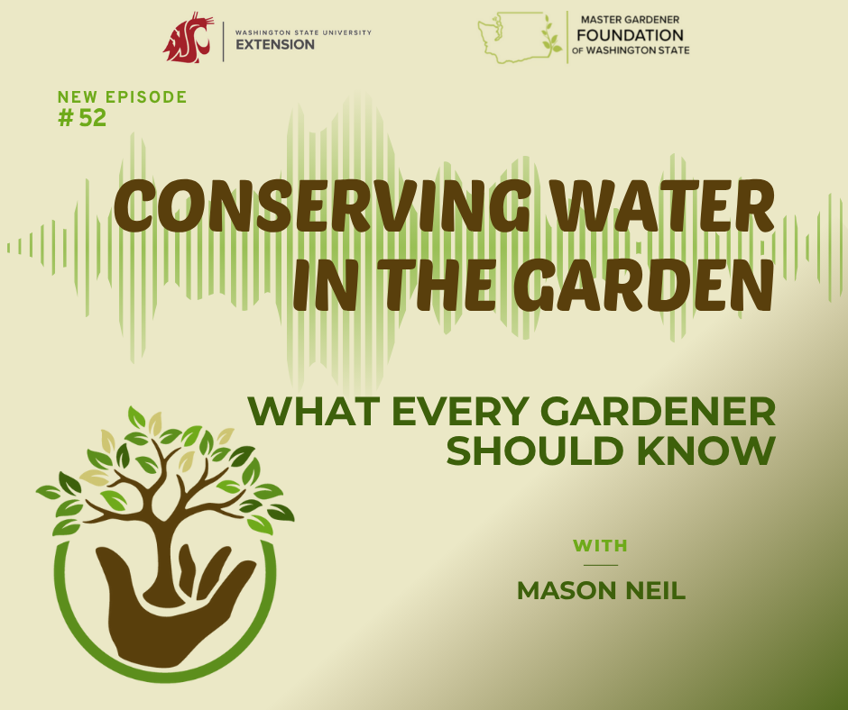 episode 52 water conservation