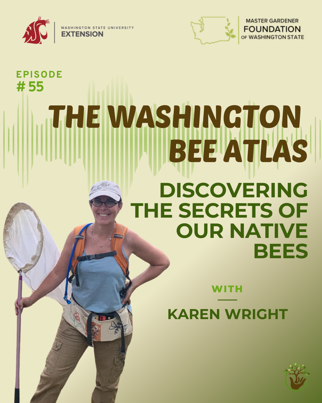 Native bees episode 55 washington bee atlas