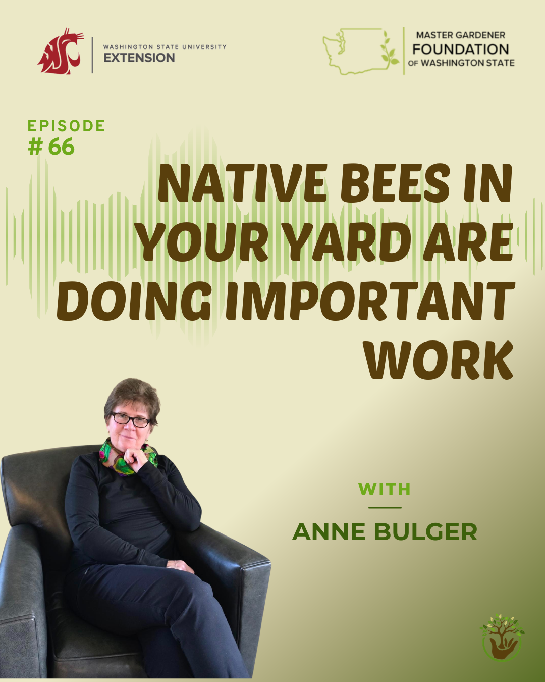 Episode 66 Native Bees