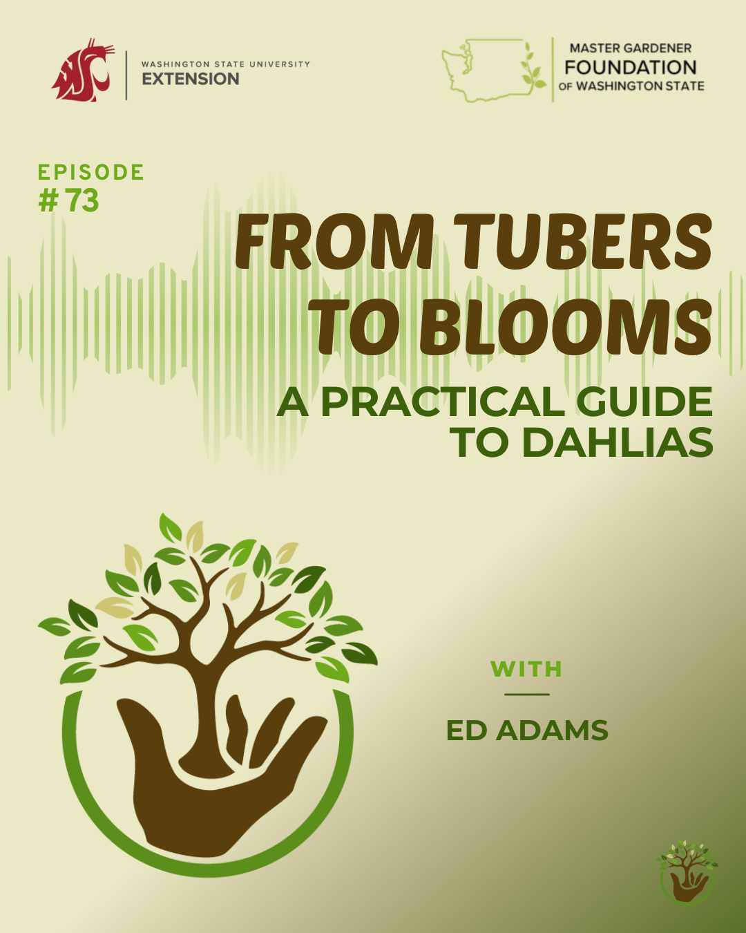 Growing Dahlias episode 73