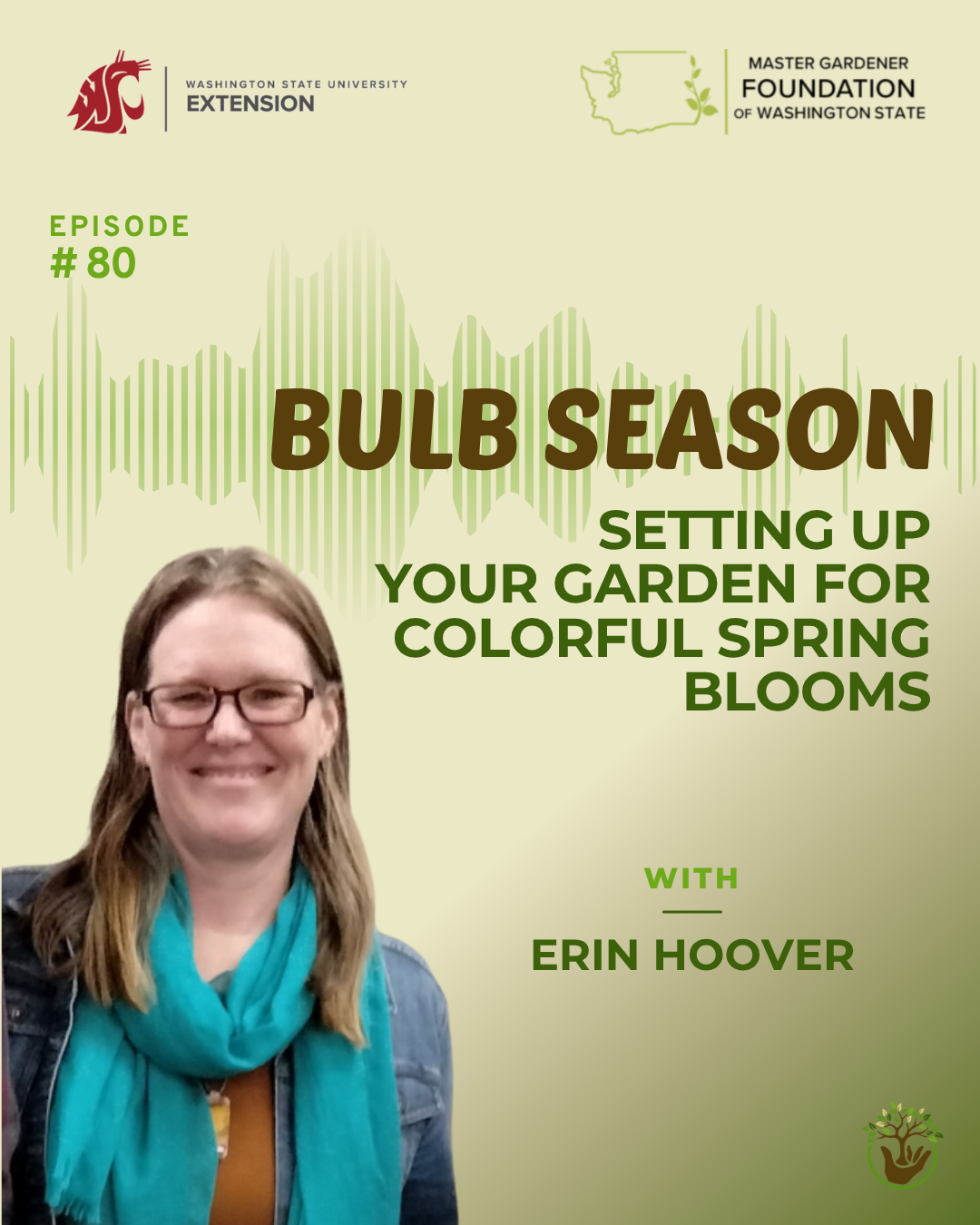 plant spring blooming bulbs Episode 80