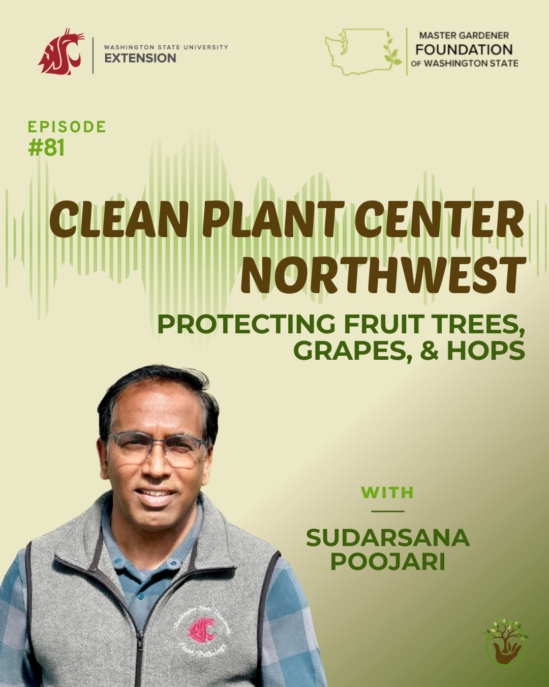 Clean Plant Center Episode 81