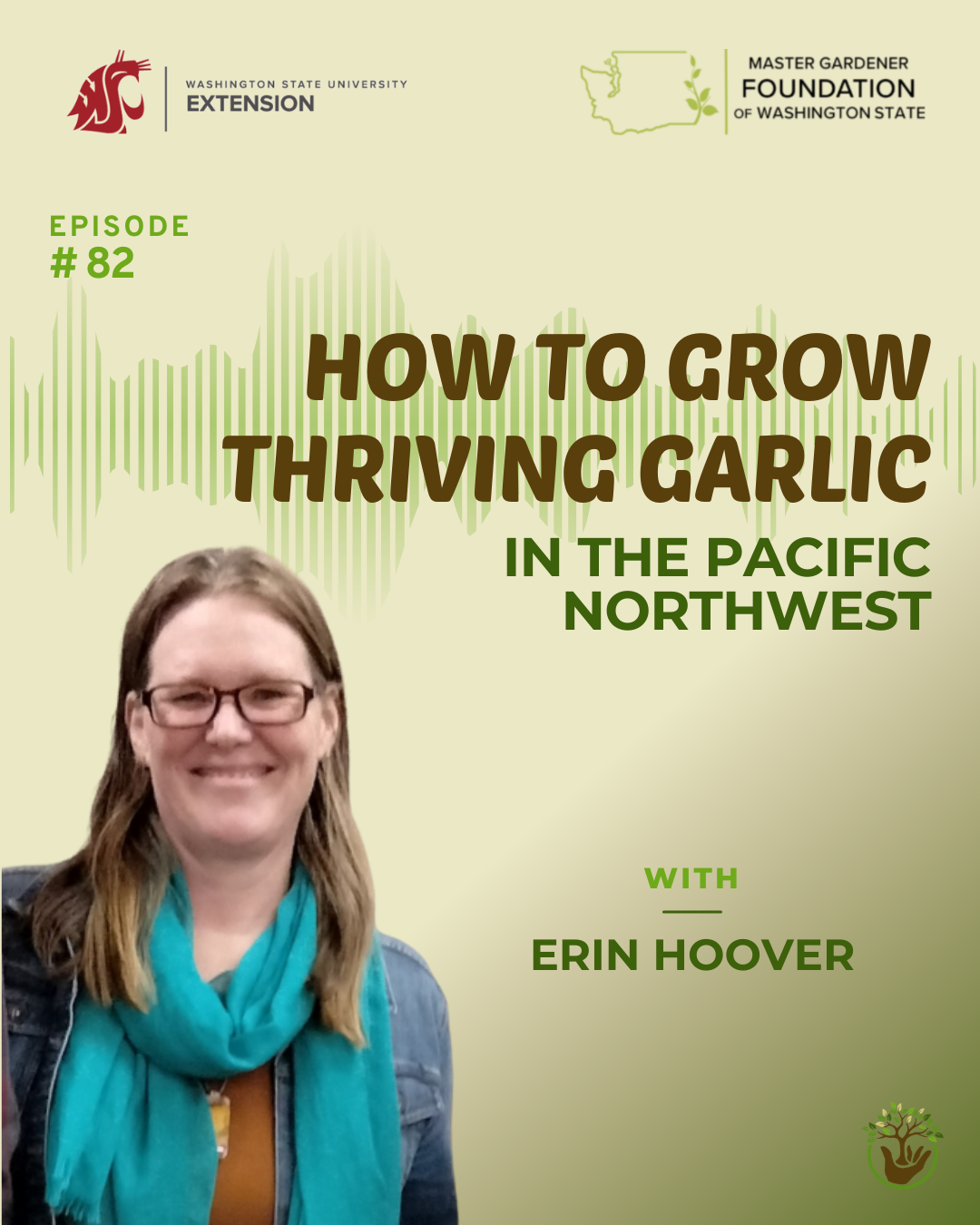 Growing Thriving Garlic Episode 82