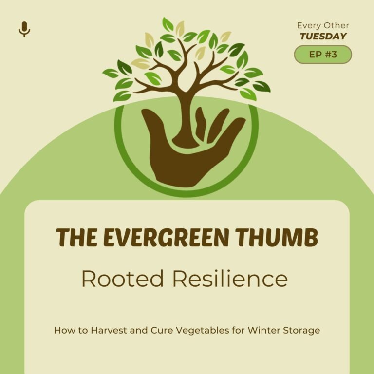 Store crops - Episode 3