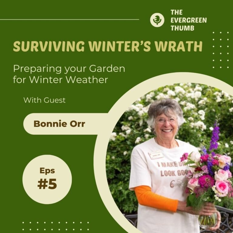 episode 005 preparing for winter weather