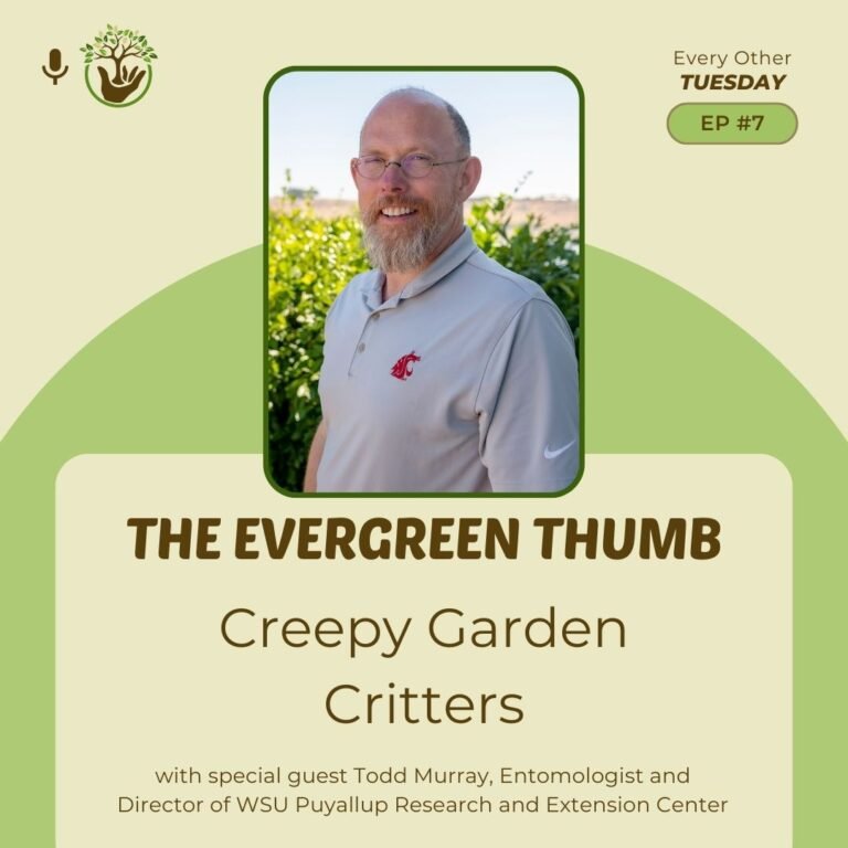 Todd Murray - Creepy Garden Critters