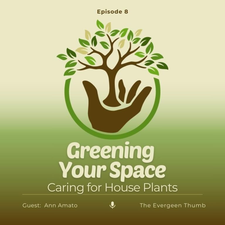 Episode 008 House Plants