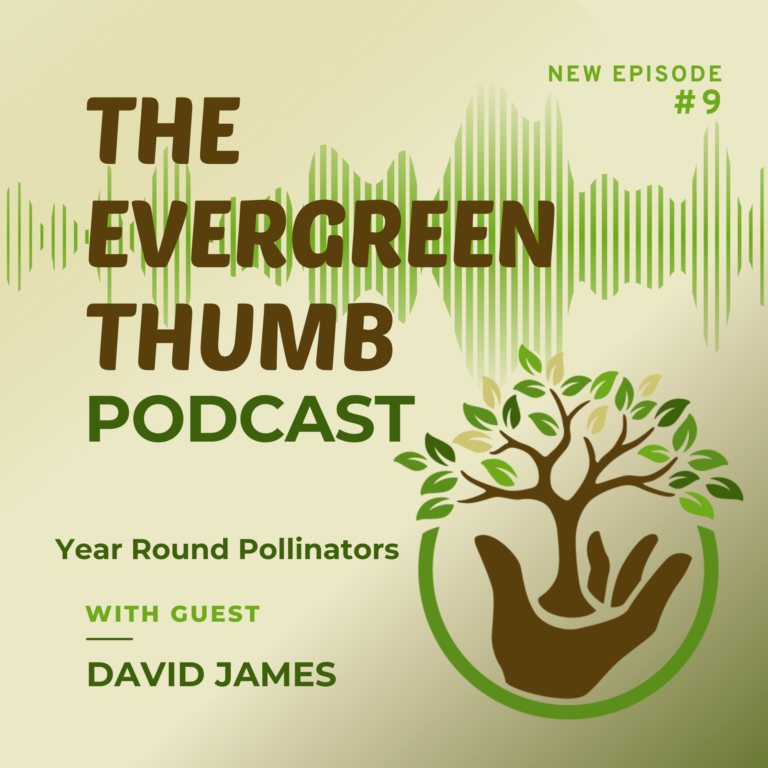 pollinators in winter with David James episode 009