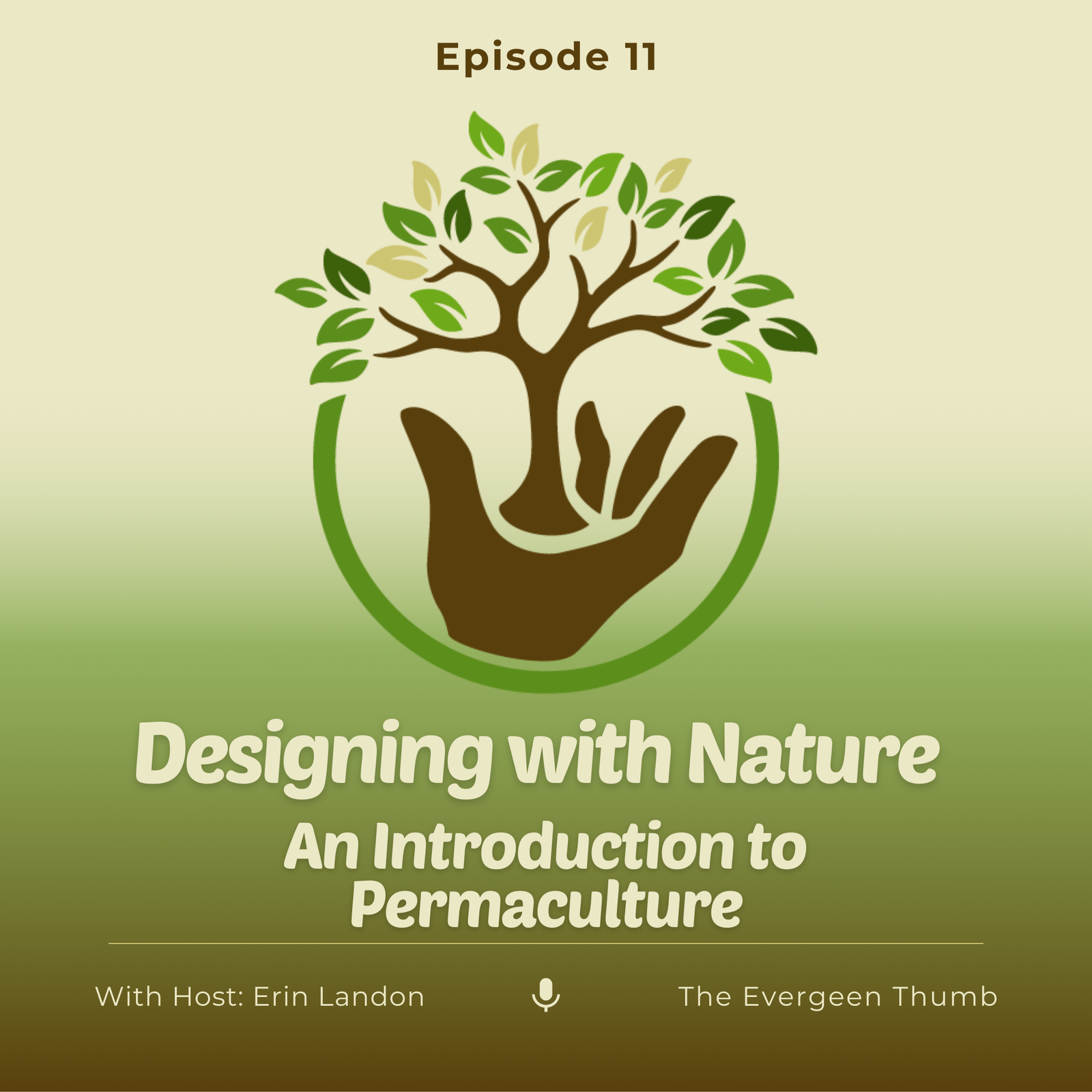 Introduction to Permaculture - episode 11