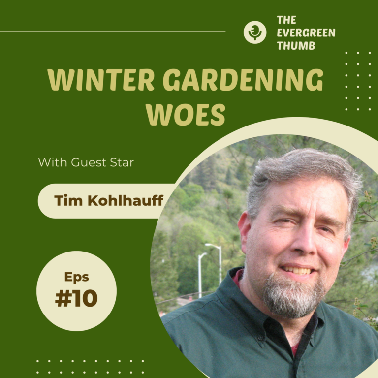Winter issues in trees with Tim Kohlhauff