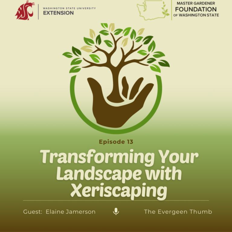 Transform your Landscape with Xeriscaping