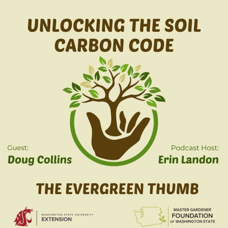 soil carbon sequestration