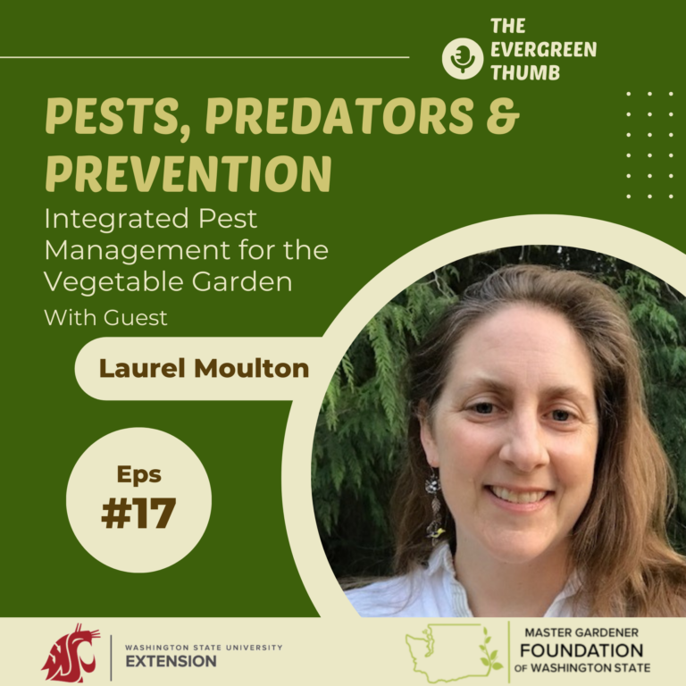 Episode 17 integrated pest management in the vegetable garden