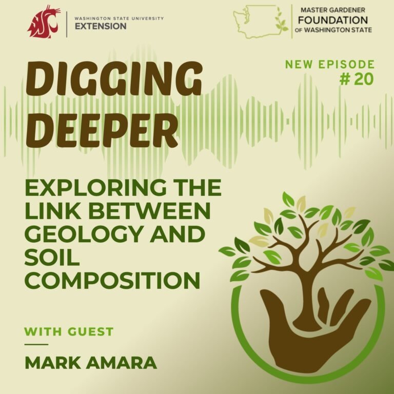 Geology and Soil Composition