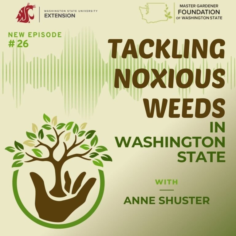 Episode 26 Noxious Weeds in Washington