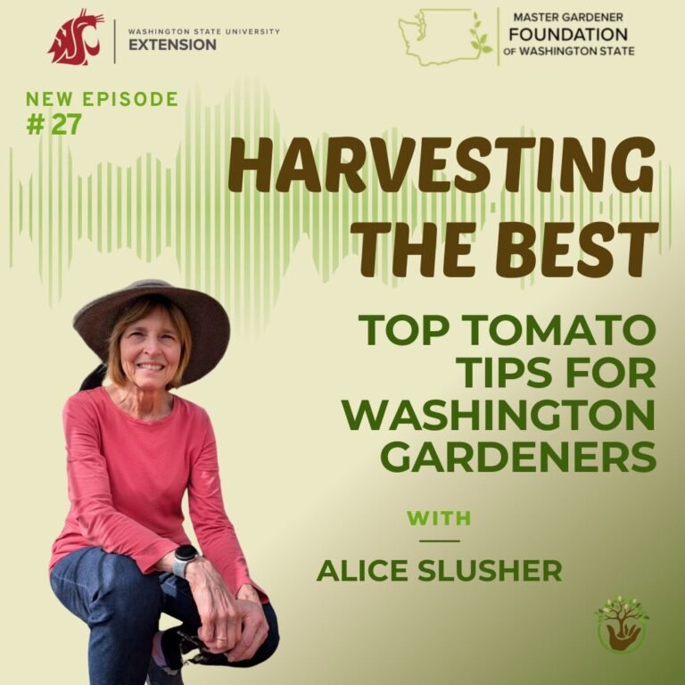 Tomato Tips for Washington Gardeners