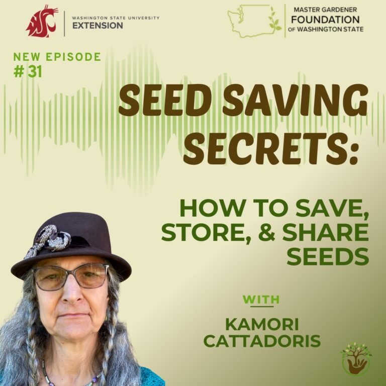 Episode 31 - seed saving secrets