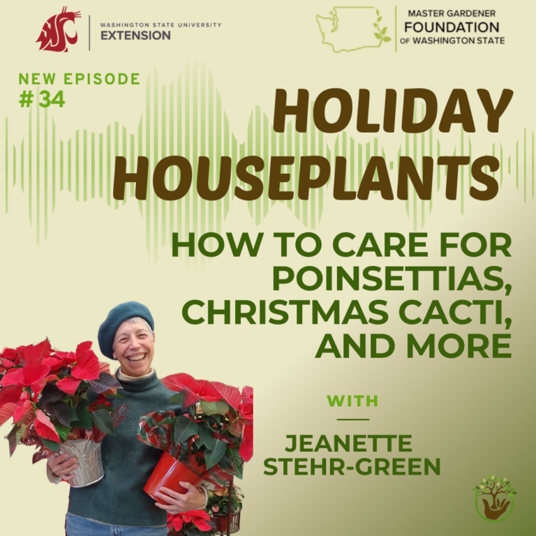 Holiday Houseplants