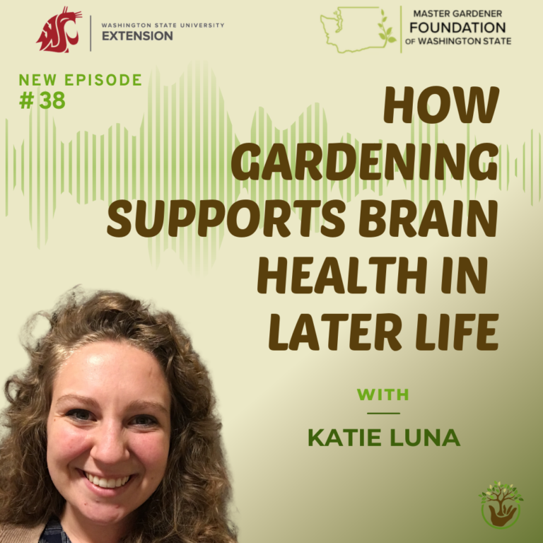 How Gardening supports brain health