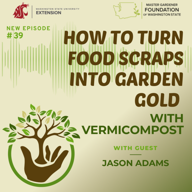 how to turn food scraps into garden gold with vermicompost episode 39