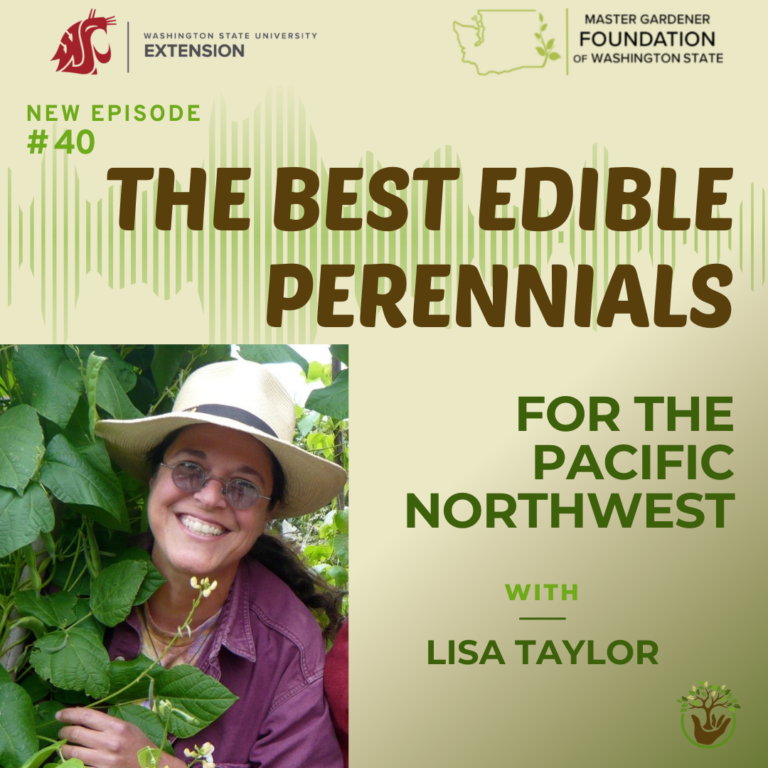 The Best Edible Perennials for the Pacific Northwest - Episode 40
