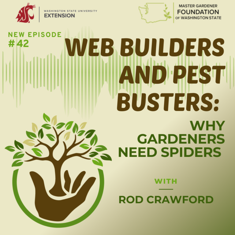 Episode 42 - Spiders in the Garden