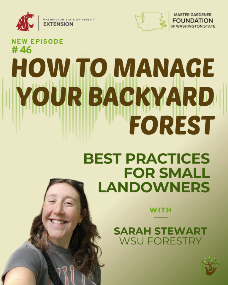 episode 46 - backyard forest management