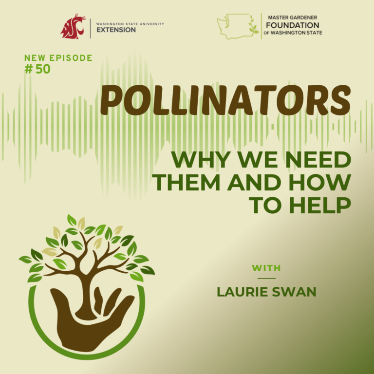 Pollinators episode 50