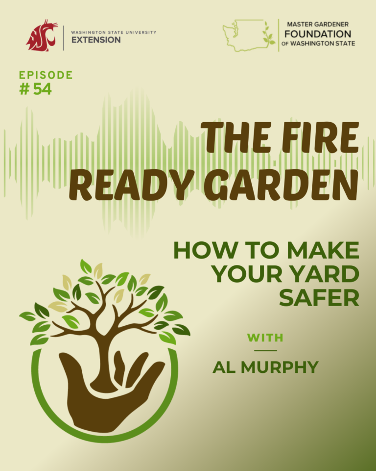 episode 54 wildfire preparedness