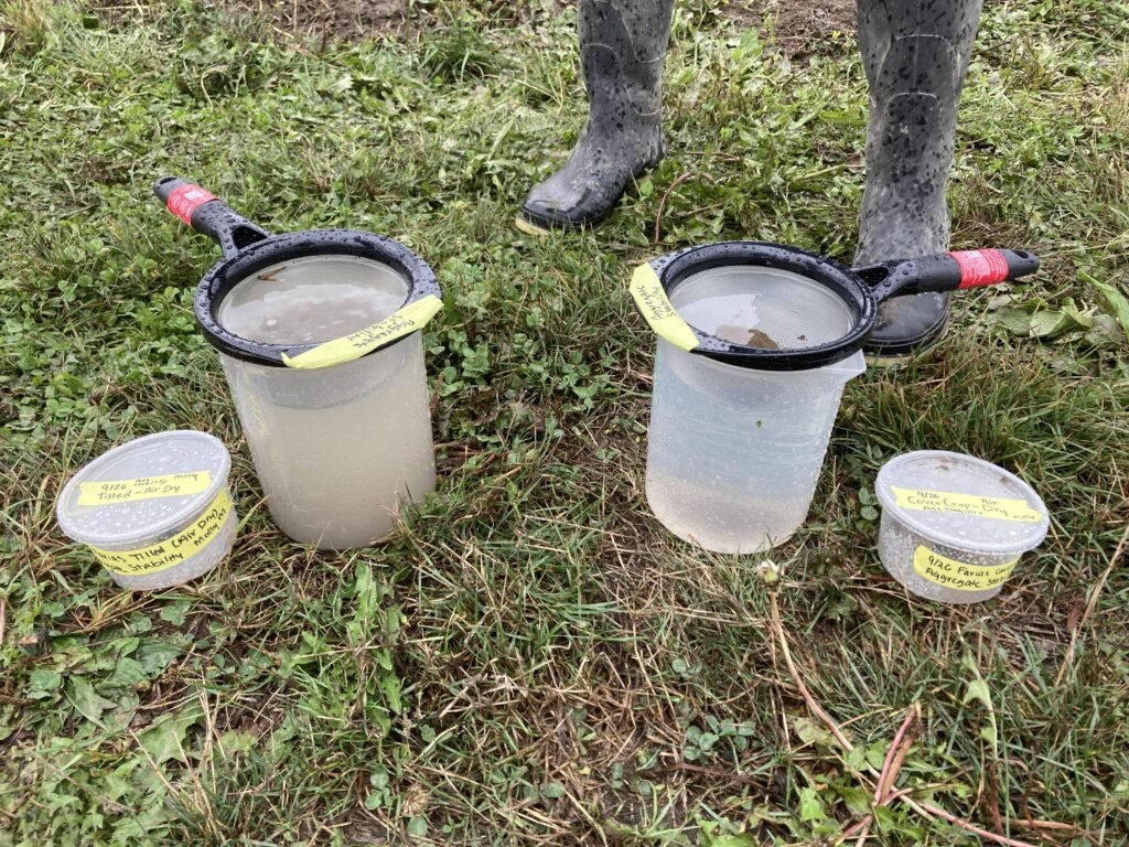 Slake test:  Two clear containers full of water with strainers on top, each with a soil sample in the strainer.  How the soil behaves in the water provides data as to its structure and health.