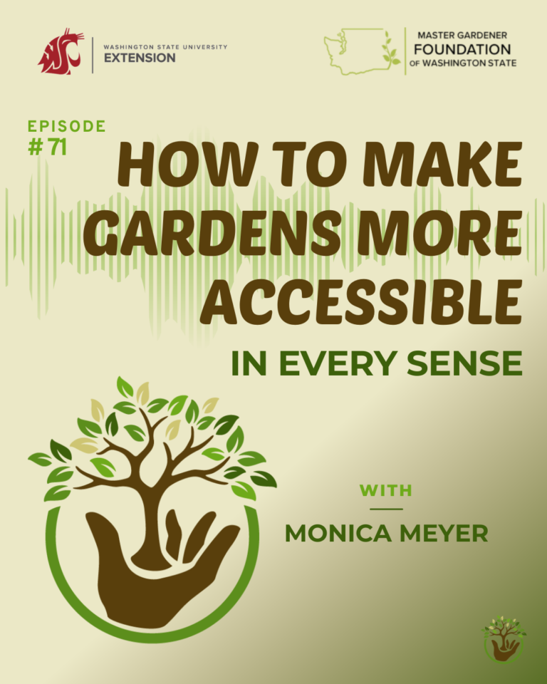 Sensory Gardens episode 71