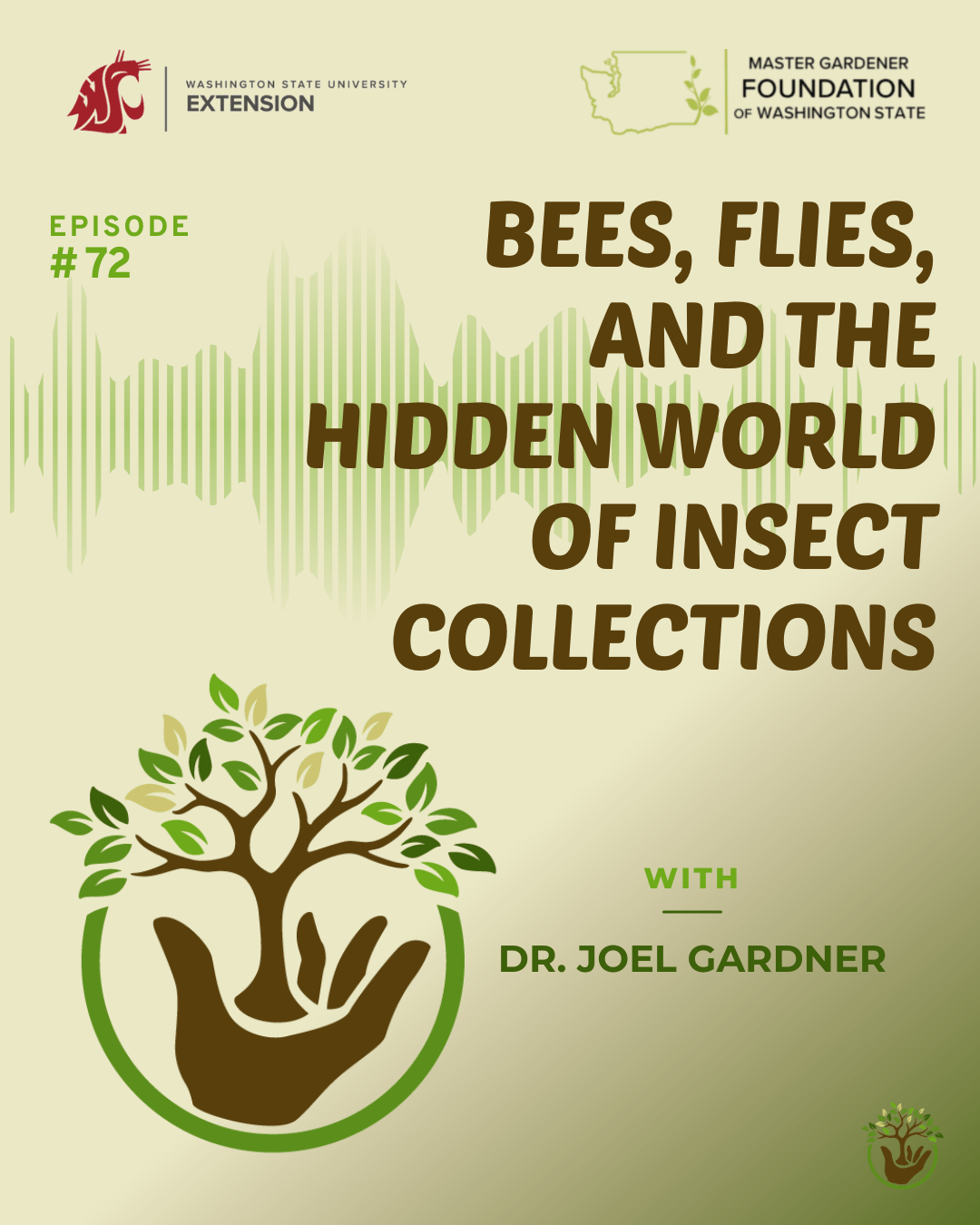 Insect Collections Episode 72