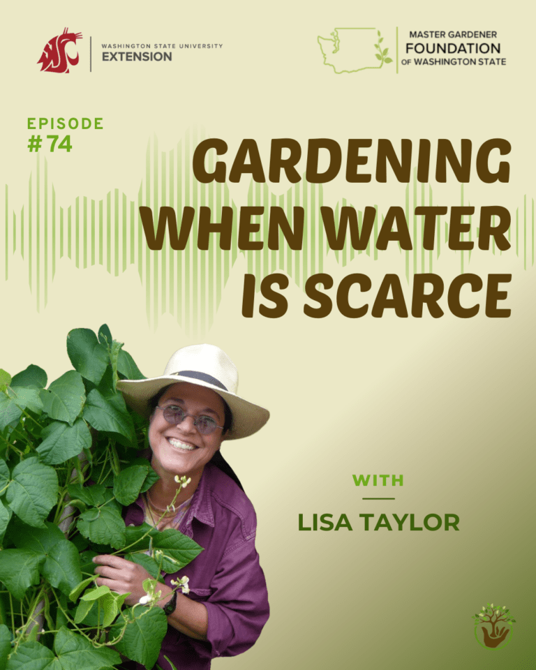 Saving Water Episode 74