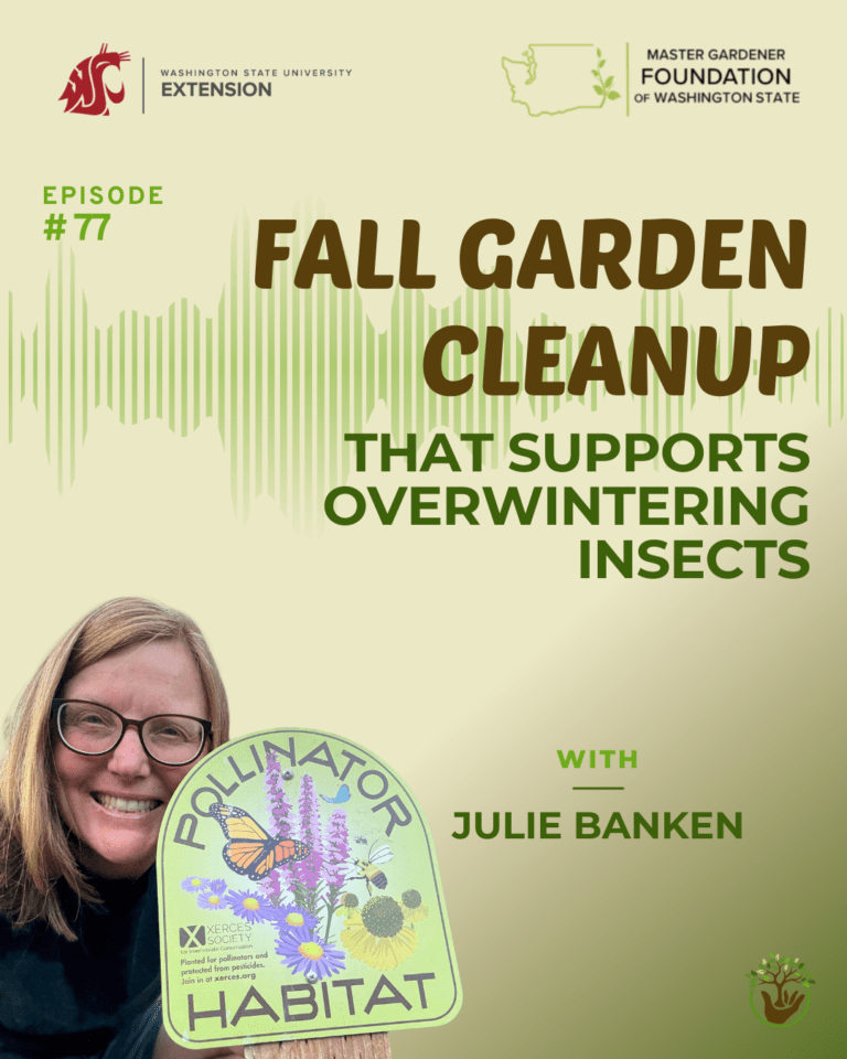 Fall Garden Cleanup Episode 77