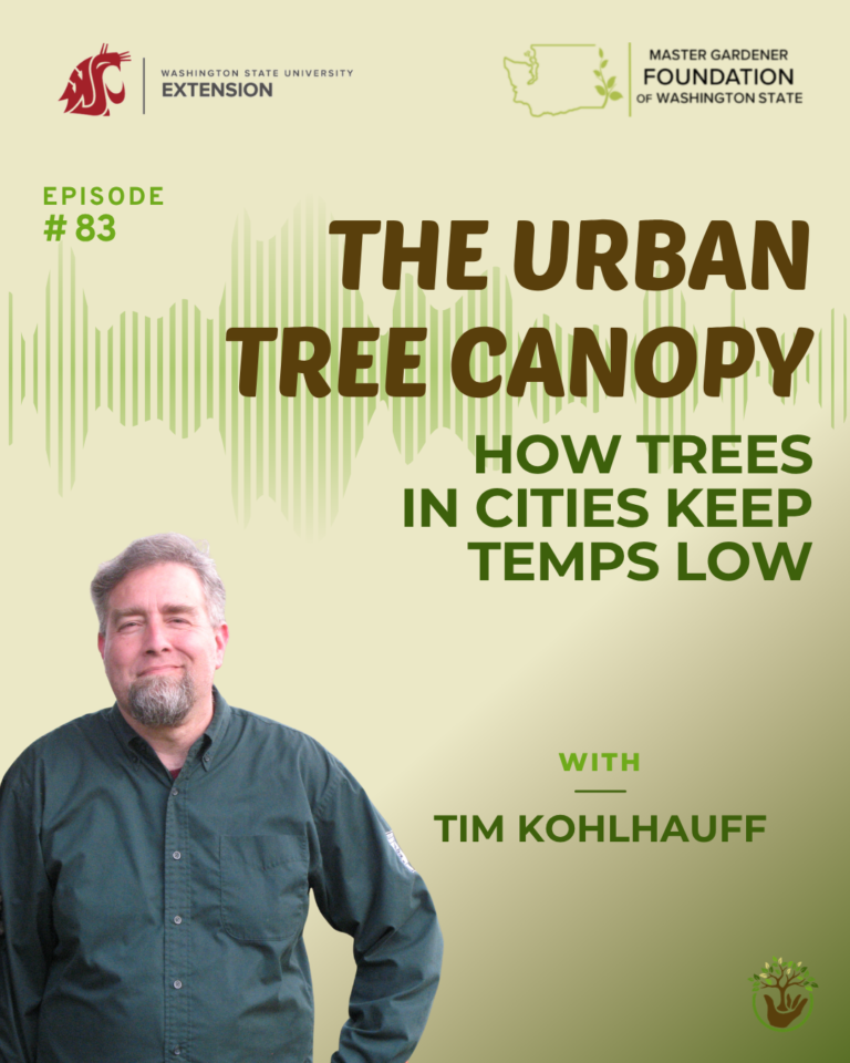Urban Tree Canopy Episode 83